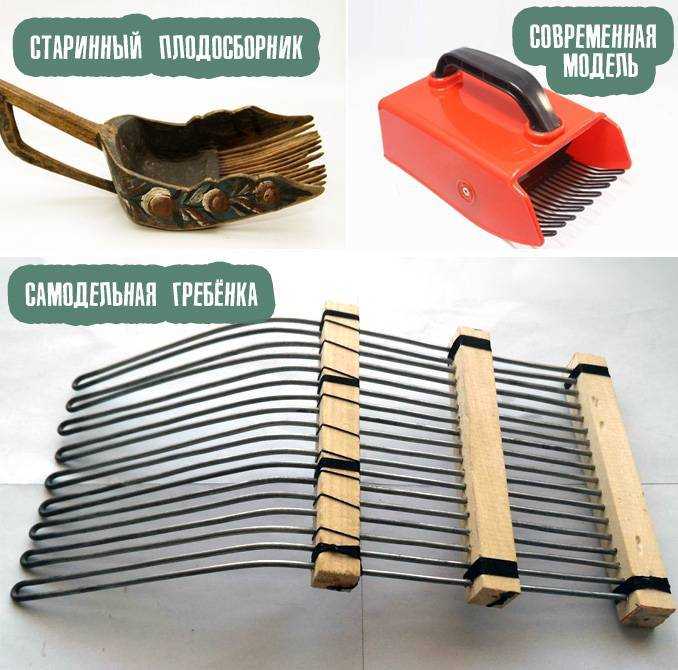 Как сделать комбайн для сбора черники своими руками