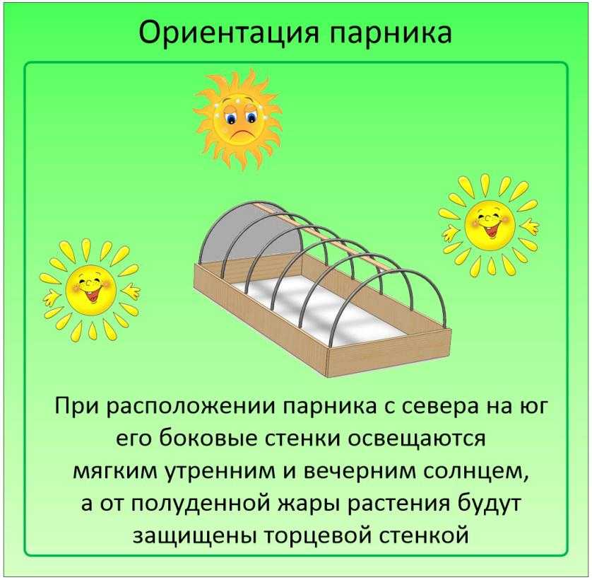 Грядки по сторонам света - как расположить? ⋆ ландшафт & дизайн