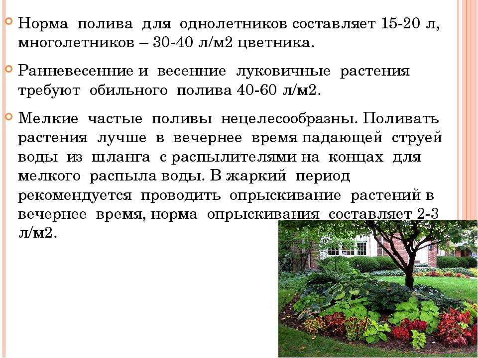 Как сделать подсев газона: 14 шагов (с иллюстрациями)