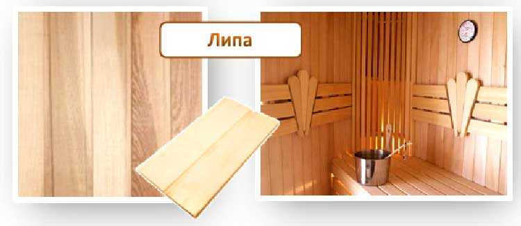 Что лучше для бани: осина, лиственница, липа, кедр, ольха, отзывы