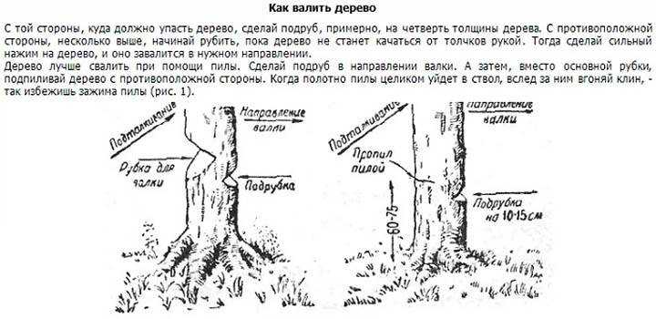 Как привести в порядок участок, который зарос дерном