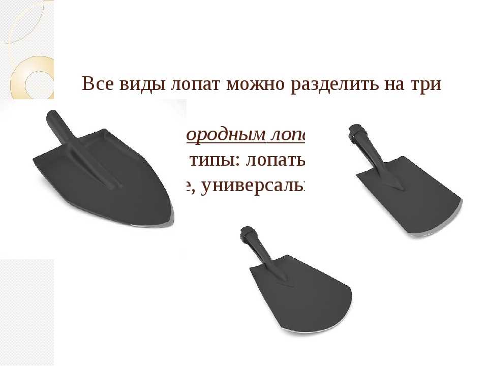 Как сделать черенок