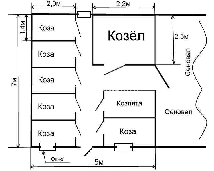 Построить своими руками сарай для коз дело несложное Нужно соблюдать правила Каково может быть обустройство загона и стойла Как лучше сделать крышу, стены, место для дойки своими руками Как сделать хлев по чертежу с размерами
