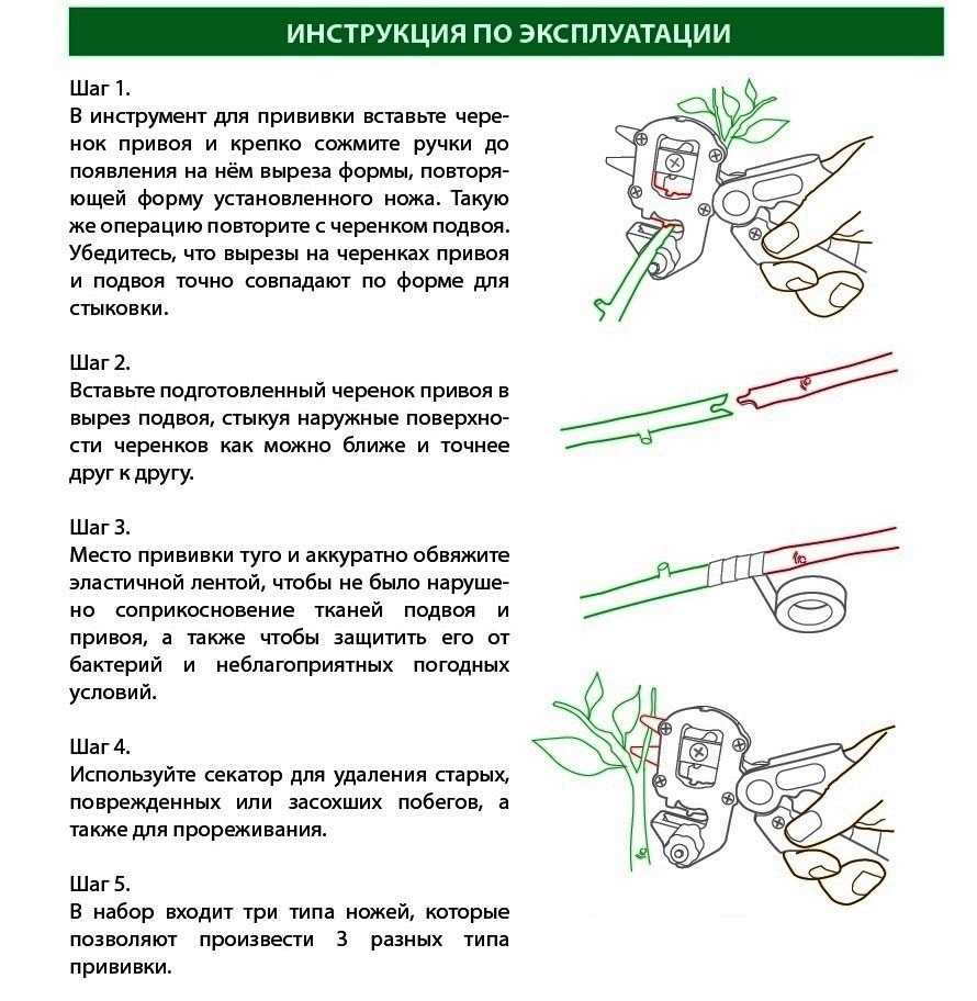 Садовые секаторы для прививки и обрезки деревьев: виды, назначение, критерии выбора