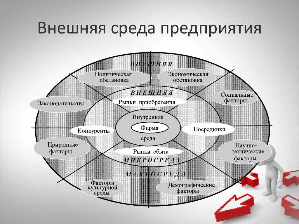 Как выбрать и пользоваться вертикуттером для газона в 2021 году