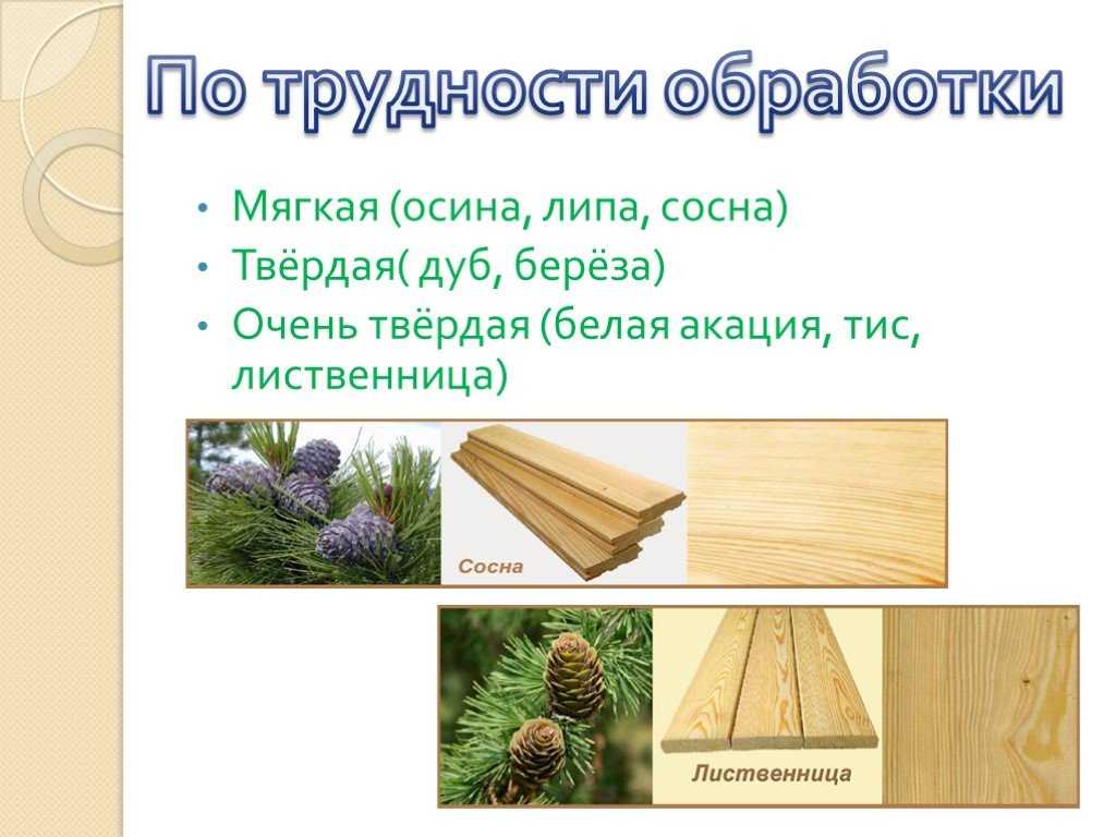 Какое дерево лучше для бани: из чего строить, делать обшивку, какая древесина где годится - в парилке, моечной и других помещениях
