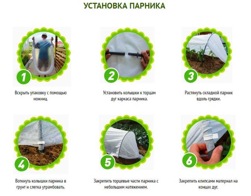 Парник подснежник своими руками: отзывы + фото