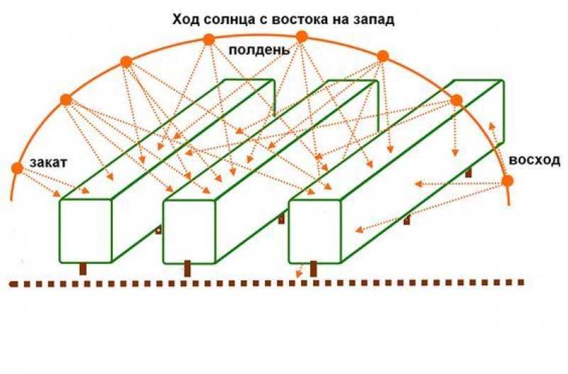 Фитоспорин для рассады: инструкция по применению для полива томатов, огурцов, перца, капусты, обеззараживание почвы раствором фитоспорина
