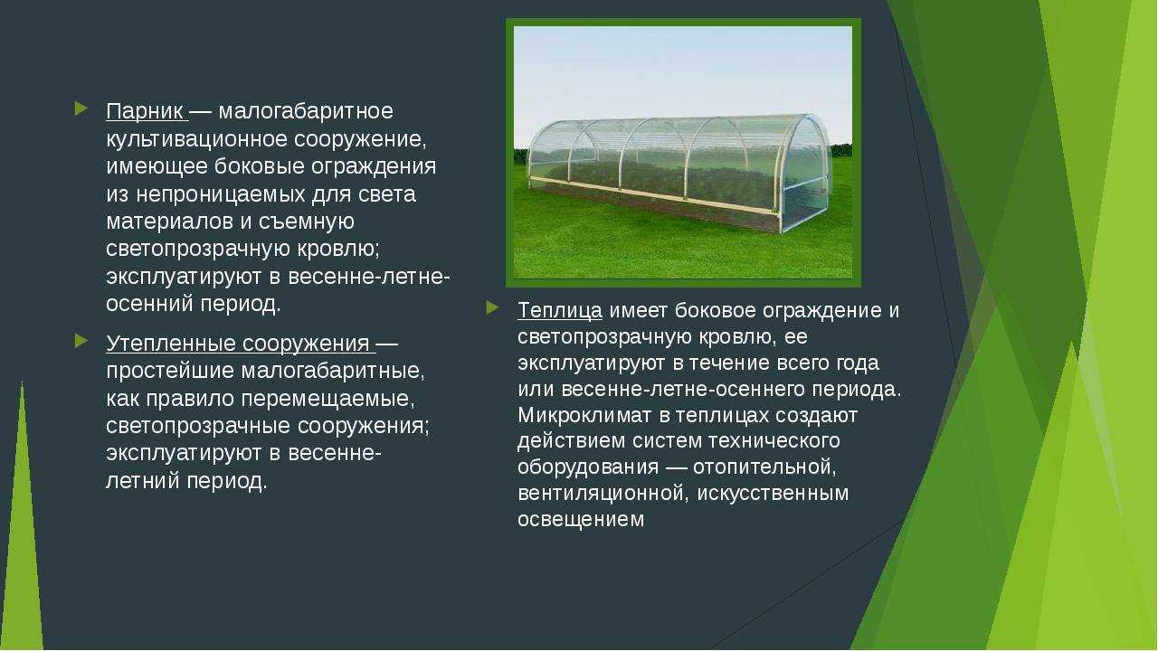Парник: разновидности и устройство конструкции