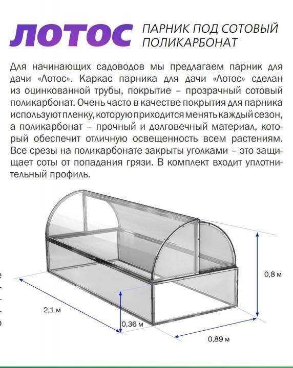 Теплица бабочка