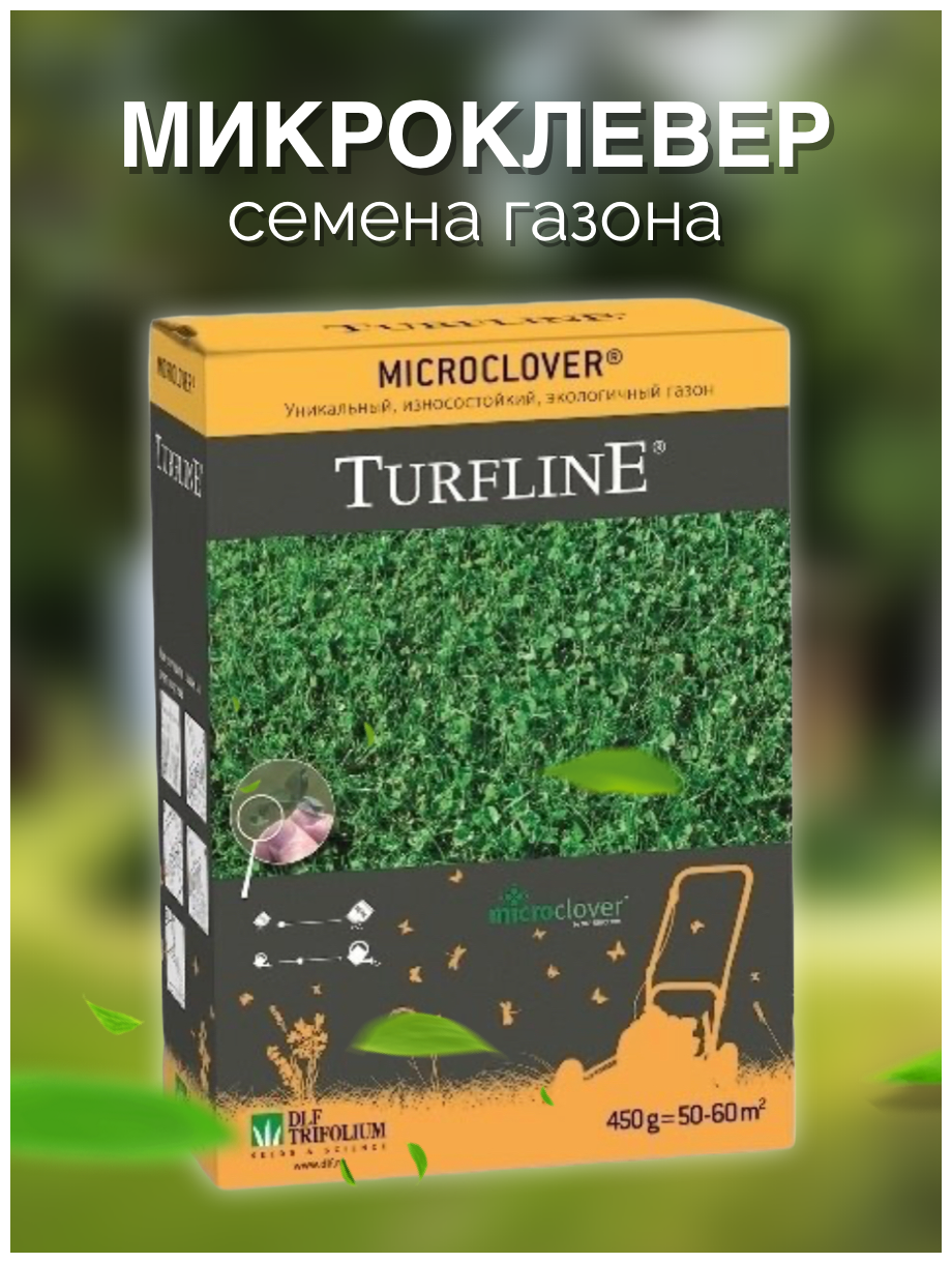 Белый клевер: как сажать для газона и ухаживать за ним