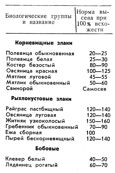 Как посеять газон своими руками