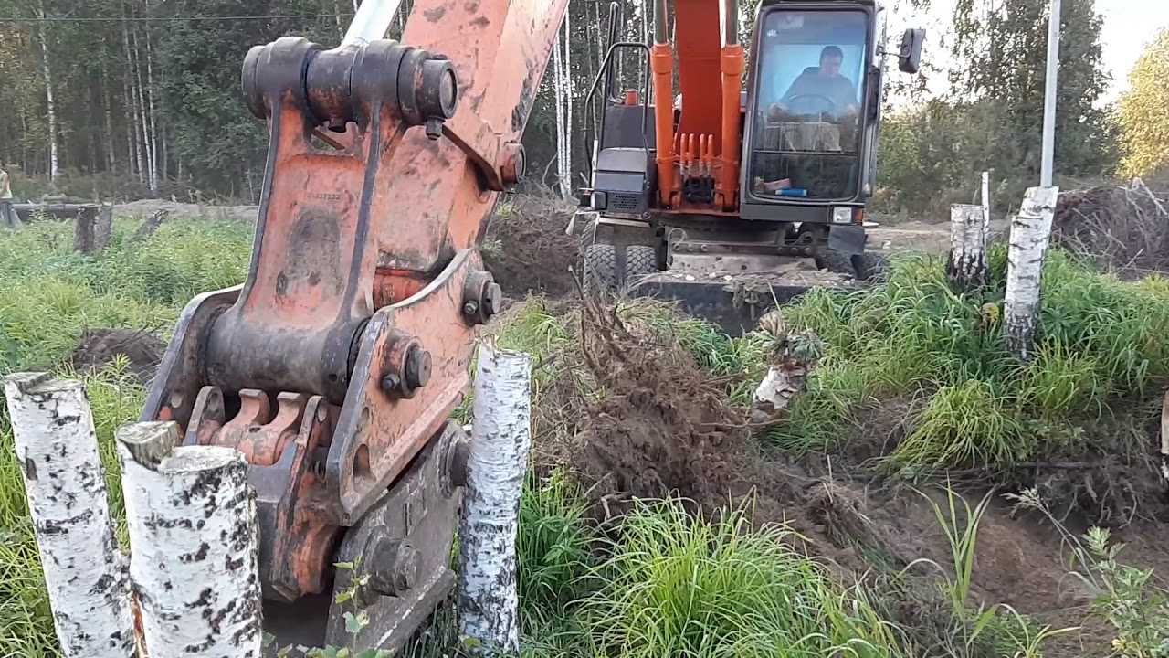 Простые способы выкорчевывания пней на участке