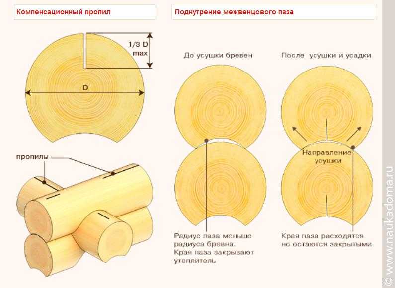 Строительство бани - моменты, которые нужно учесть при возведении строения